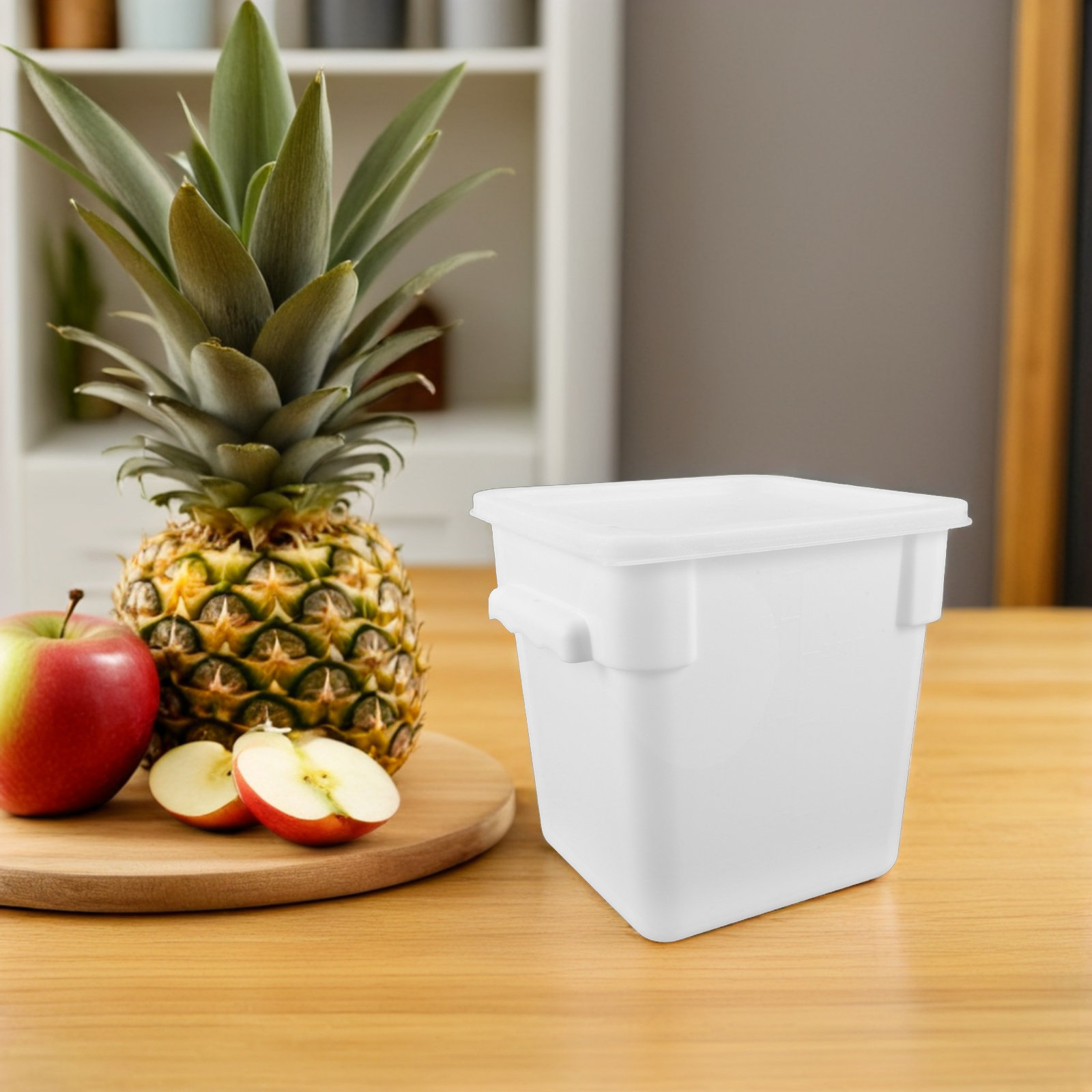 Food Storage Containers - Recipiente de Armazenamento de Alimentos Comercial