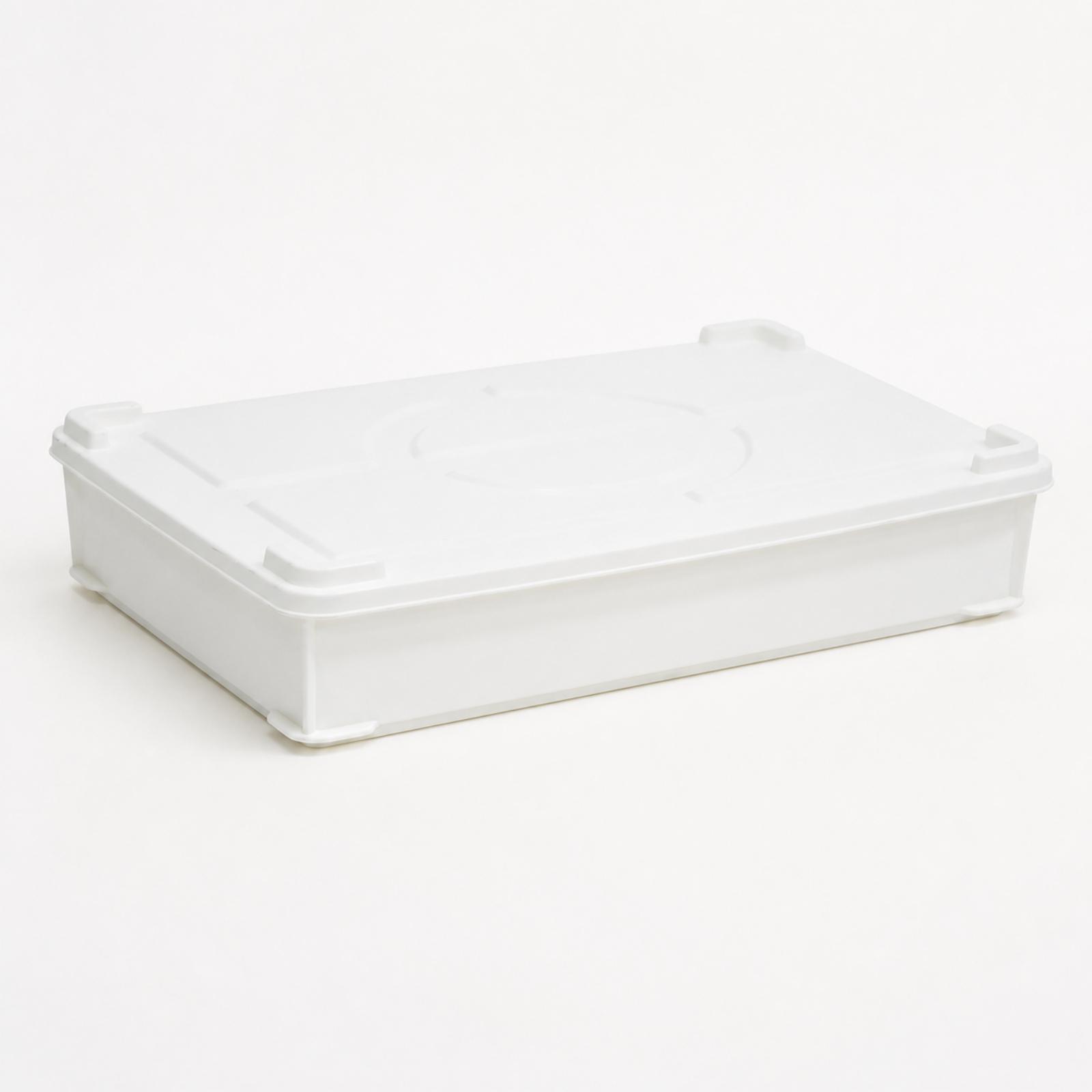 Caixa de Fermentação em HDPE p - Food Storage Containers avaliação e preço