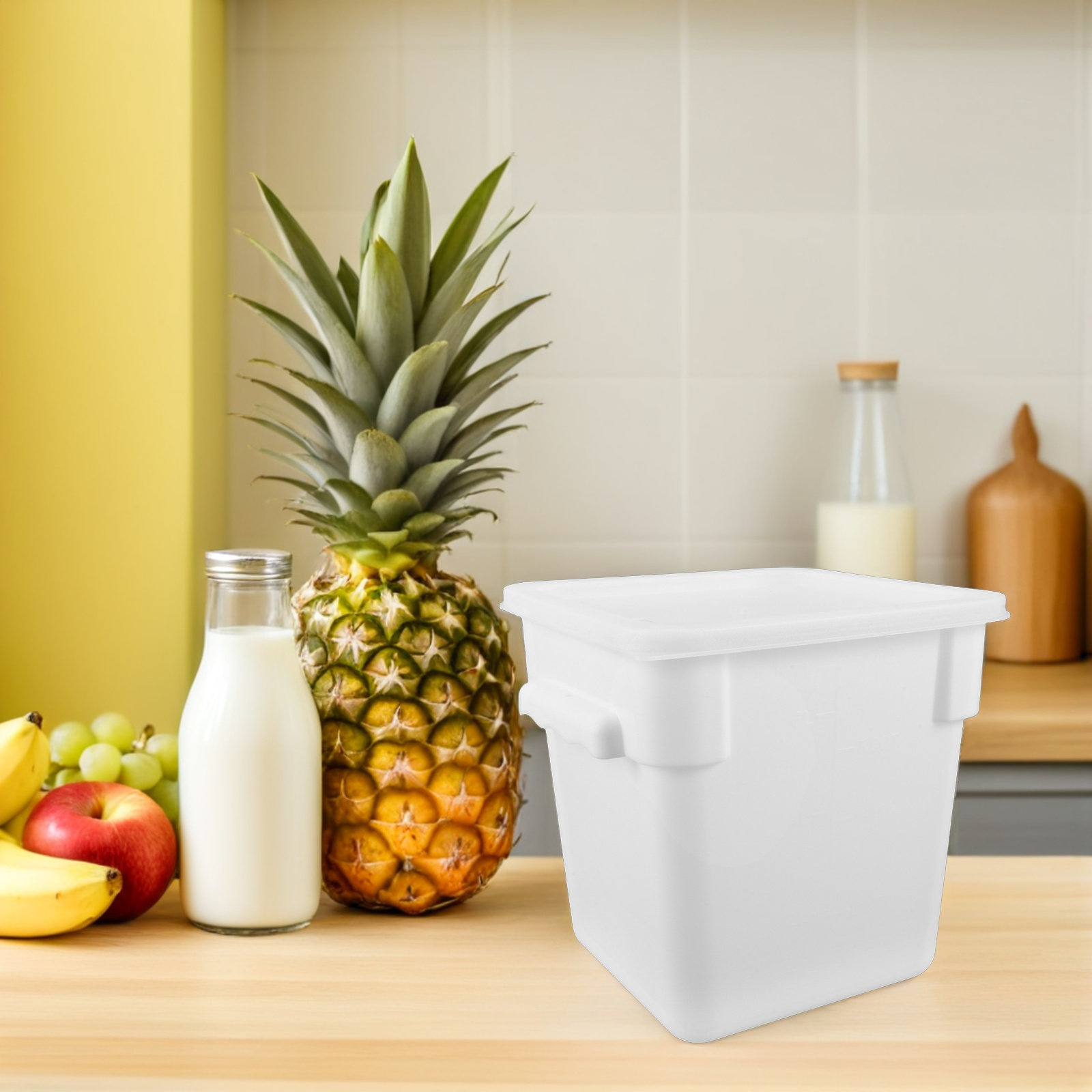 Recipiente de Armazenamento de - Food Storage Containers avaliação e preço